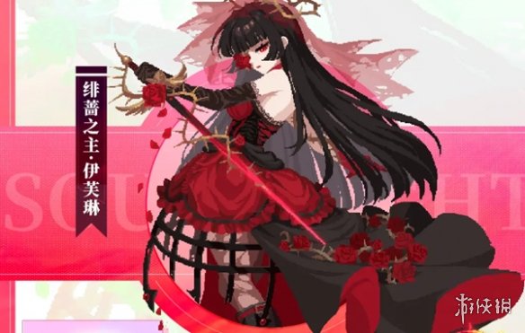 网4