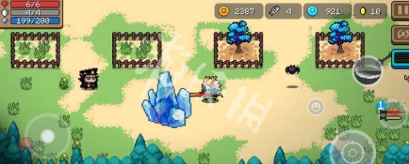 网4