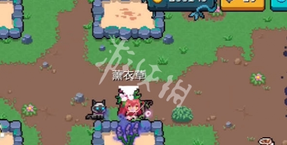 网3